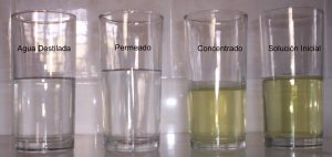 2-nf-del-uf-leche-cabra